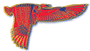 cairo international airport logo